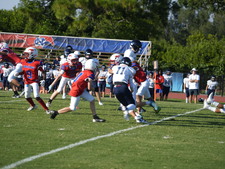 Enlarge photo 225