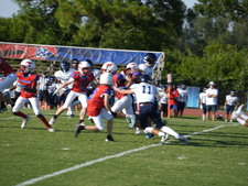 Enlarge photo 223