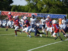 Enlarge photo 229