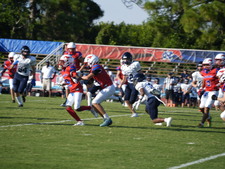 Enlarge photo 233