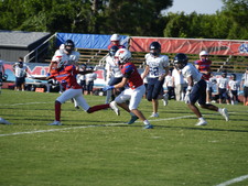 Enlarge photo 235