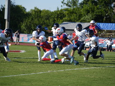 Enlarge photo 238