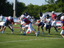 Enlarge photo 240