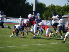 Enlarge photo 242