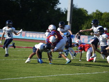 Enlarge photo 243