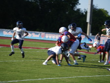 Enlarge photo 244