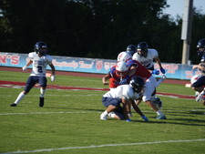Enlarge photo 245