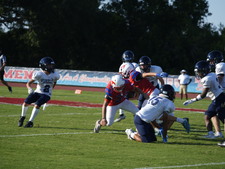 Enlarge photo 248