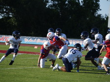 Enlarge photo 247