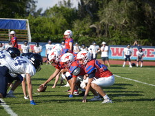 Enlarge photo 277