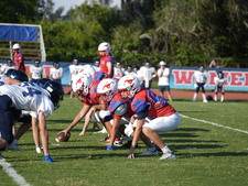 Enlarge photo 282