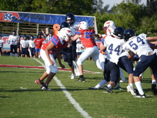 Enlarge photo 294