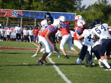 Enlarge photo 295