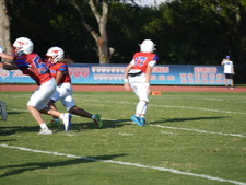 Enlarge photo 309