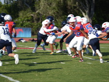 Enlarge photo 313