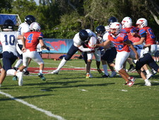 Enlarge photo 316