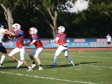 Enlarge photo 346