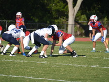Enlarge photo 382