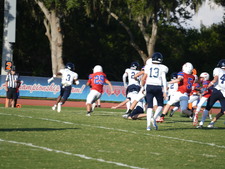 Enlarge photo 389