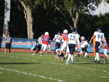 Enlarge photo 392