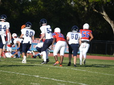 Enlarge photo 396