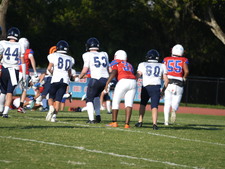 Enlarge photo 397