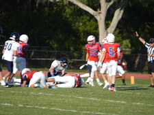 Enlarge photo 407