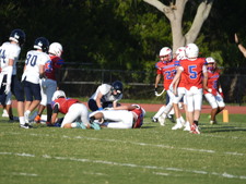 Enlarge photo 409
