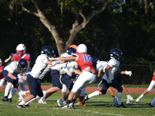 Enlarge photo 410