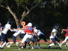 Enlarge photo 413