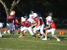 Enlarge photo 417