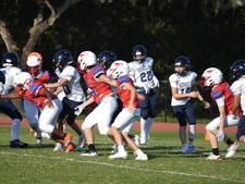 Enlarge photo 419