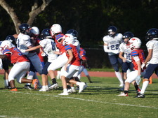 Enlarge photo 421
