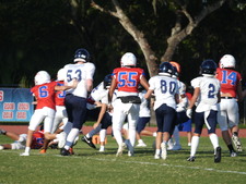 Enlarge photo 423