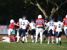 Enlarge photo 424