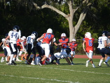 Enlarge photo 438