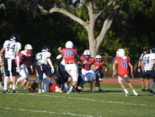 Enlarge photo 440