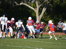 Enlarge photo 441