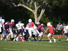 Enlarge photo 442