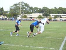 Enlarge photo 2