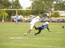 Enlarge photo 31