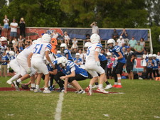 Enlarge photo 36