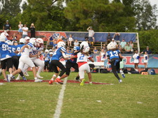 Enlarge photo 92