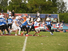 Enlarge photo 93