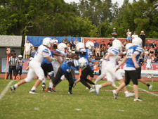 Enlarge photo 184