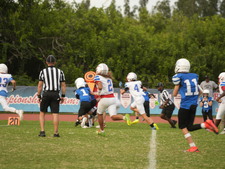 Enlarge photo 195