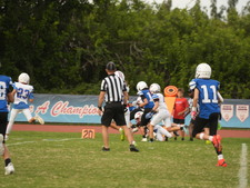 Enlarge photo 199
