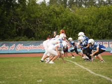 Enlarge photo 204