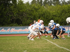 Enlarge photo 206