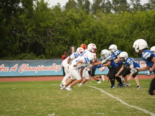 Enlarge photo 205